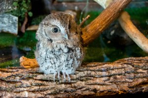 From GoFarFoto on Flickr