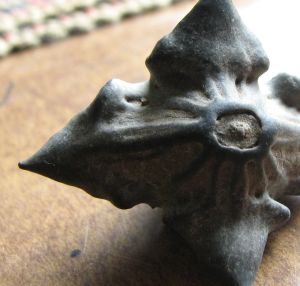 Water Chestnut Seed Pod From peppergrasss on Flickr