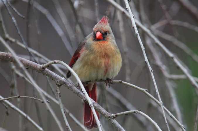 By John Flannery on Flickr 