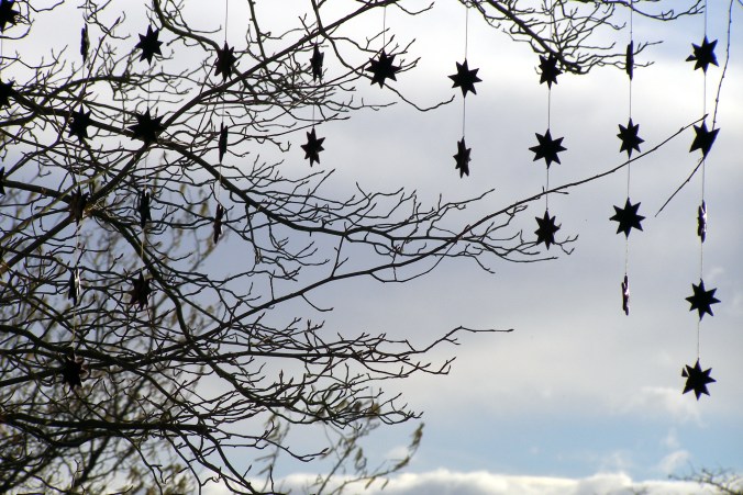 stars snow flickr.jpg