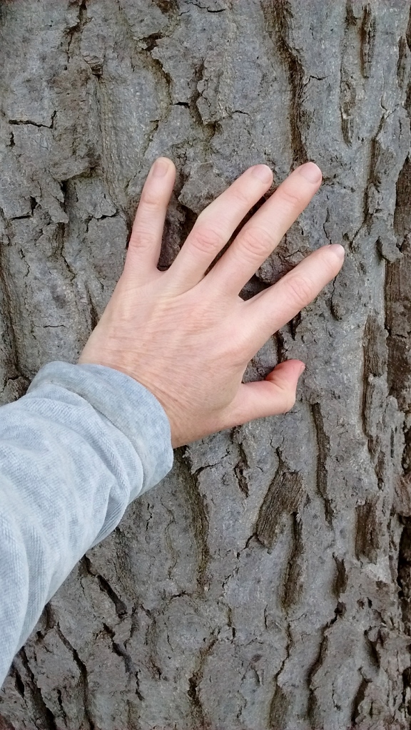 IMG_20170426_075600946 (576x1024)