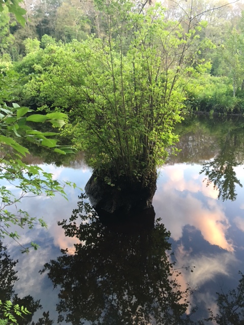 Chester creek rock.jpg