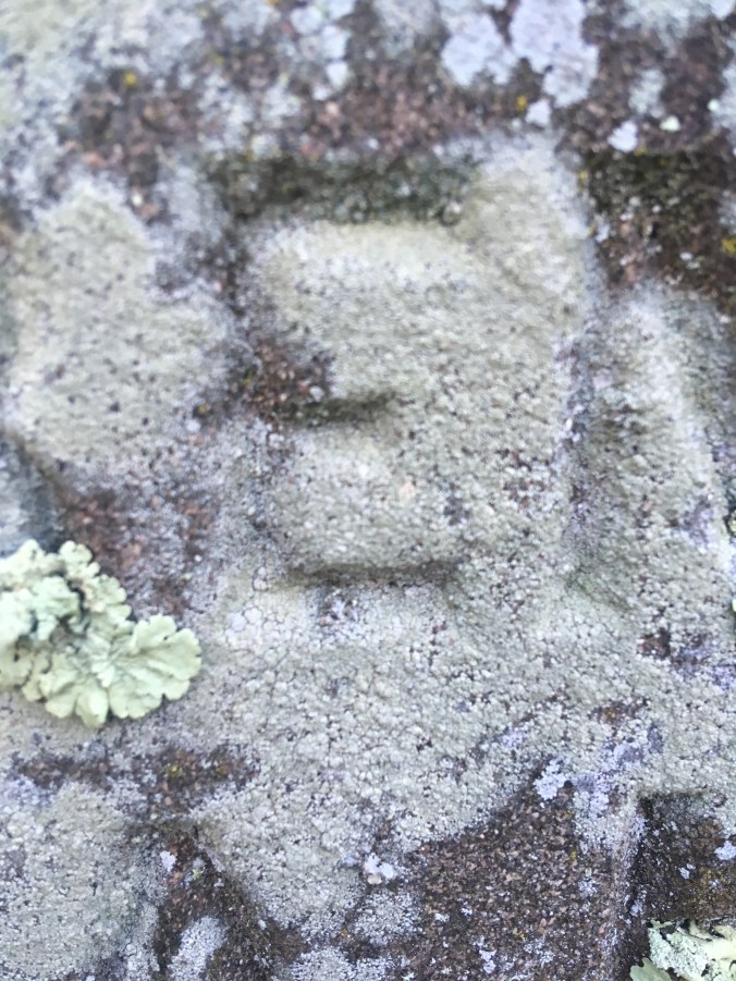 LICHENS TOMBSTONE